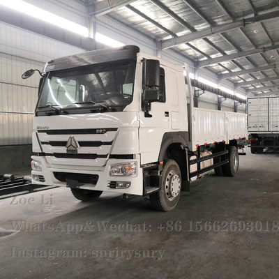Sinotruk HOWOの軽量4x2重い貨物トラック290HP箱Truck LorryヴァンGoods